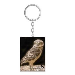Burrowing Owl Photo Keyring